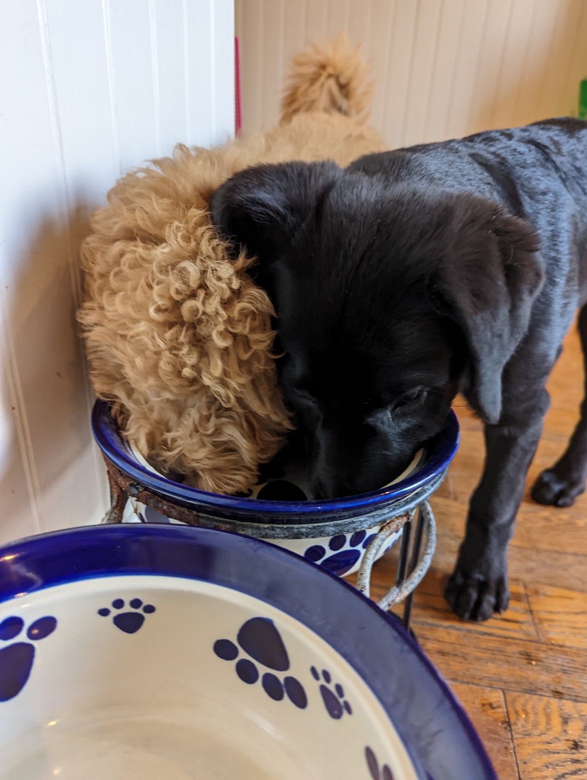 PXL_20221124_172912923