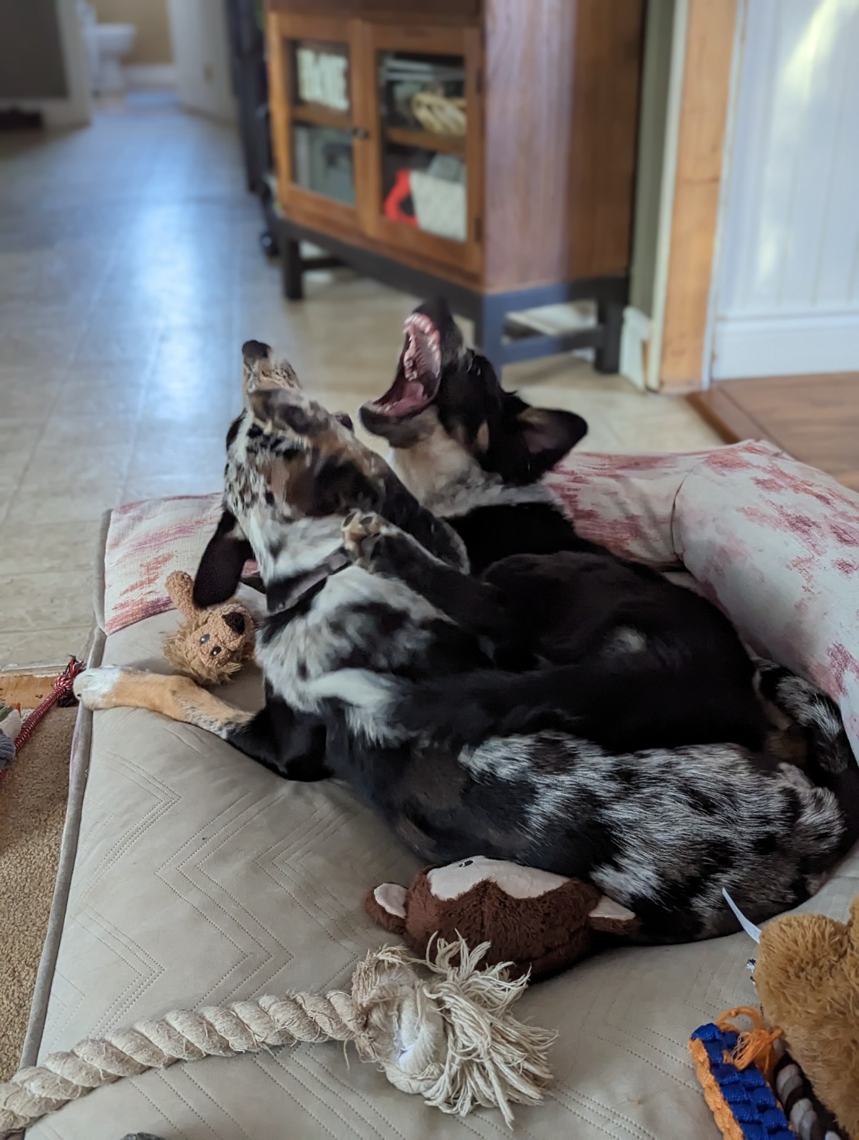 PXL_20230304_124015957.PORTRAIT