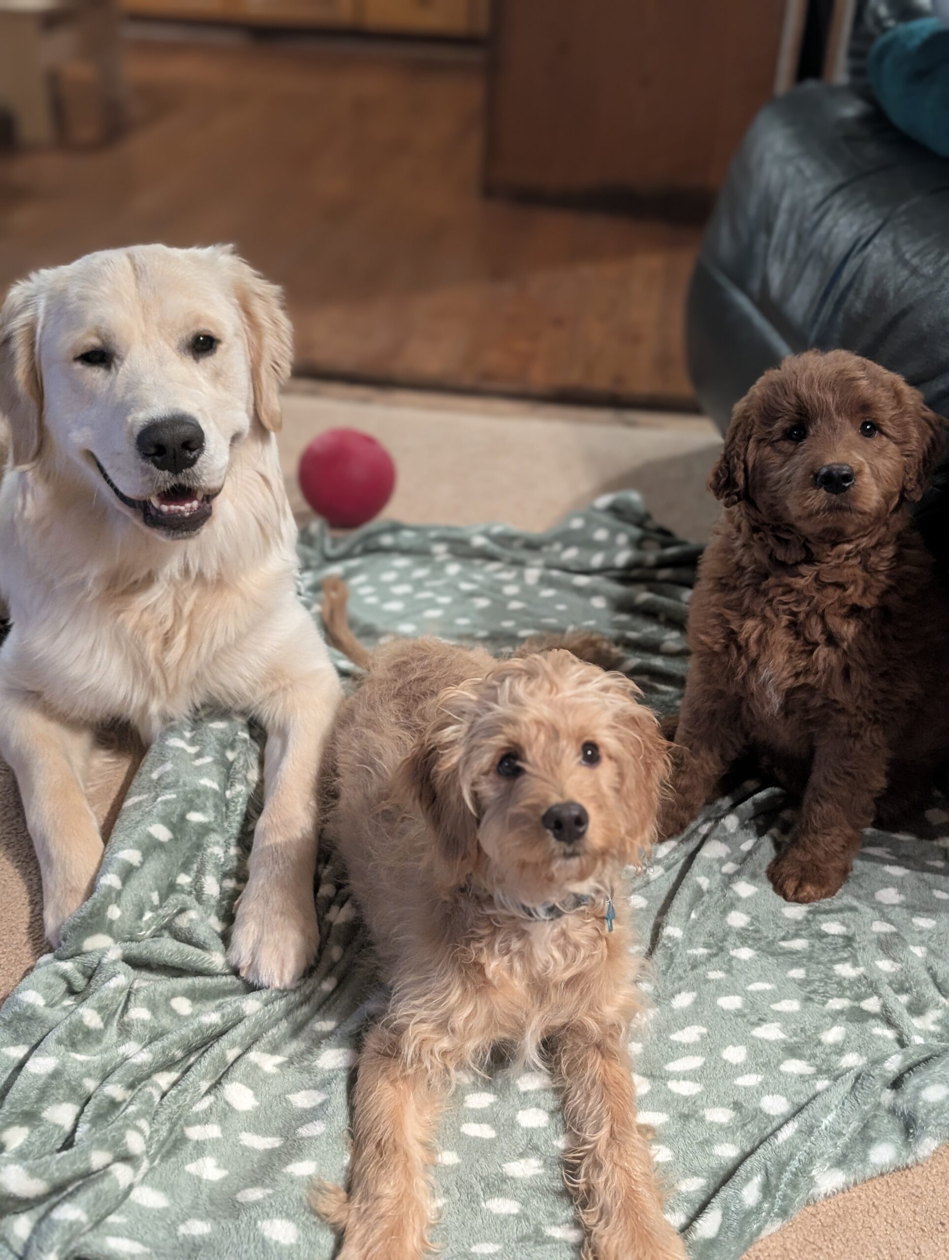 PXL_20250125_015657458.PORTRAIT