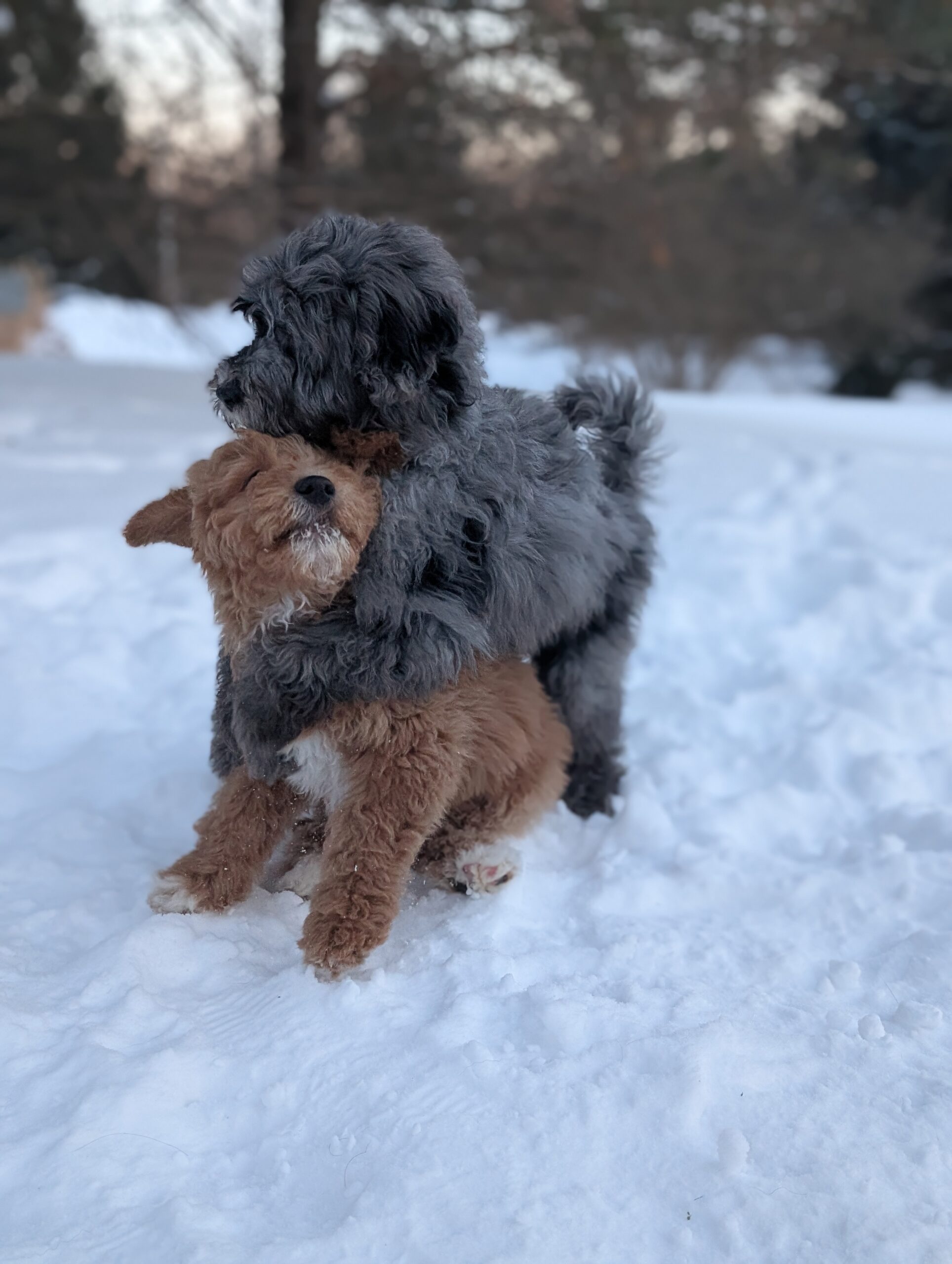 PXL_20260131_222112952.PORTRAIT