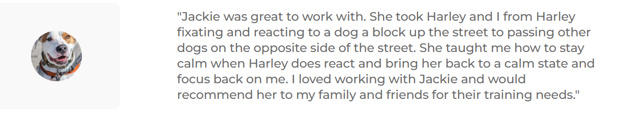 Screenshot 2026-02-10 160517