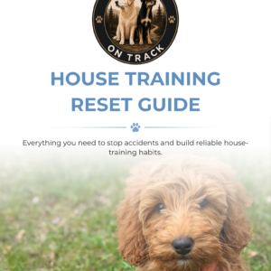 House Training Reset Guide