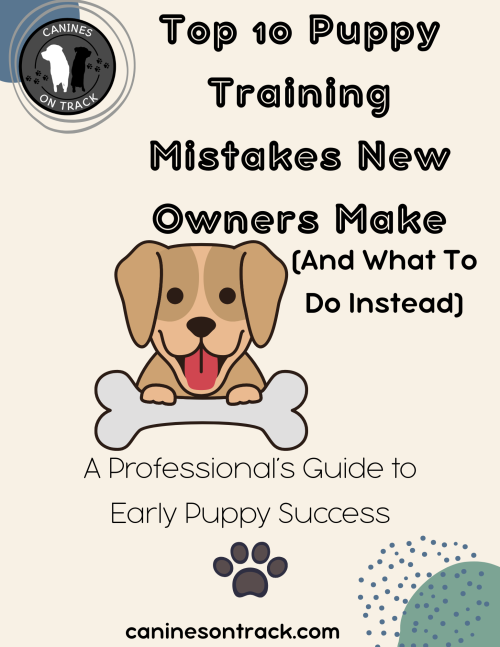 Top 10 Puppy Mistakes Cover Page